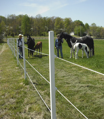 ElectroBraid Electric Horse Fence - 1000 Foot roll